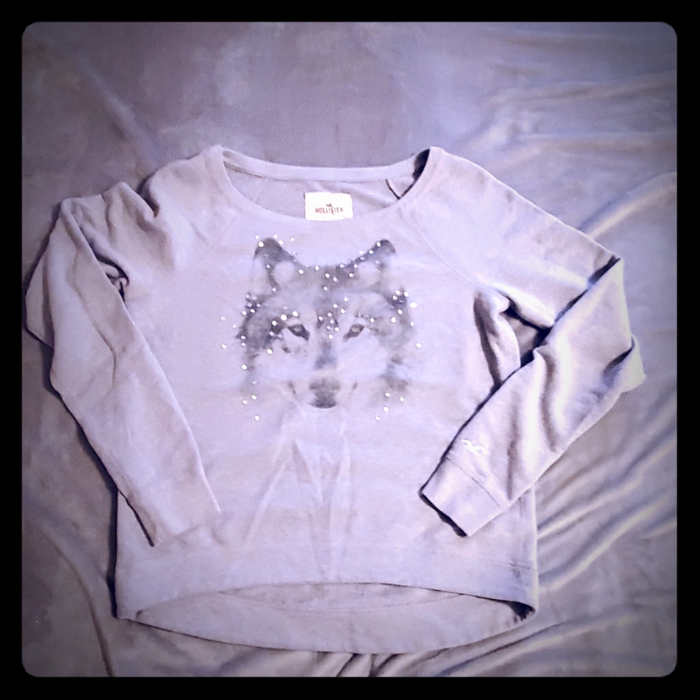 Hollister wolf sweatshirt